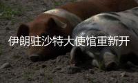伊朗驻沙特大使馆重新开馆