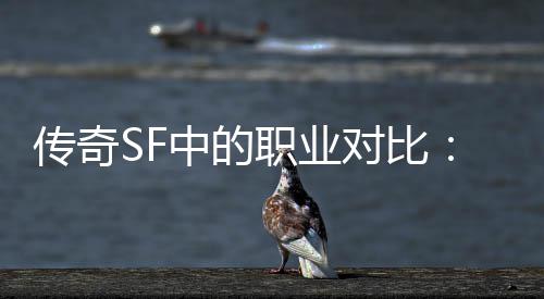 传奇SF中的职业对比：为何法师最为辛劳？ 传奇一旦练好了召唤宝宝