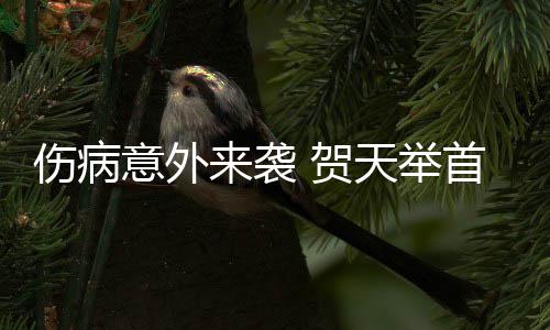 《怪物猎人：世界》冰原DLC预告视频公布 冬季上线 贺天举此次NBA季前赛之行