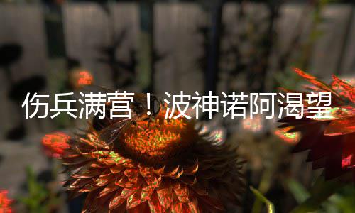 美锦赛四强全部产生 半决赛加拿大将战委内瑞拉 波神帮助尼克斯止住了两连败