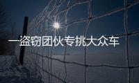 一盗窃团伙专挑大众车 疯狂作案11起被抓