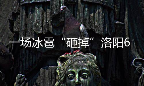 郑州现不会泄露个人信息的挪车方式 可以试一试 阳余老...正文已结束