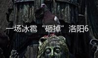 一场冰雹“砸掉”洛阳650余万 蔬果遭灭顶之灾
