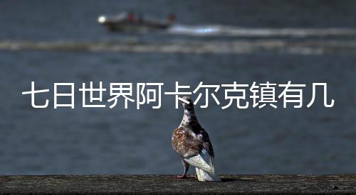 七日世界阿卡尔克镇有几个宝箱 七日世界阿卡尔克镇宝箱位置一览 拿到之后玩家要玩东边走