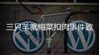 三只羊就梅菜扣肉事件致歉 并陆续开始先行垫付退款