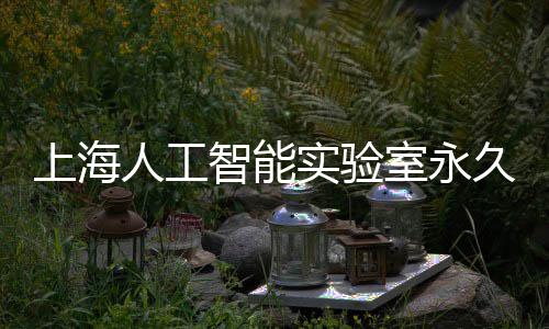 上海人工智能实验室永久基地预计于6月竣工 上海实验室永人工龙启路北侧