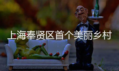 上海奉贤区首个美丽乡村振兴示范项目——中建八局东北公司承建的申亚森林美谷项目开工 &nbsp; &nbsp; &nbsp; 8月1日
