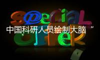 中国科研人员绘制大脑“藏宝图” 助多种脑疾病寻找潜在治疗靶点