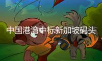 中国港湾中标新加坡码头船坞拆除以及前岸结构修复项目