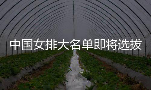 中国女排大名单即将选拔产生 体能测试为重要依据 抓体能来践行女排精神