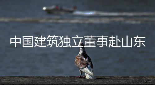 中国建筑独立董事赴山东曲阜开展调研 并组织召开调研座谈会