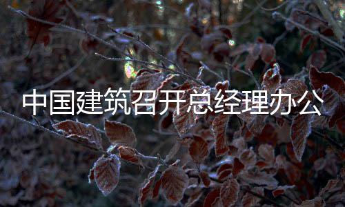 中国建筑召开总经理办公会 充分发挥平台应用实效