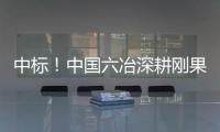 中标！中国六冶深耕刚果（金）矿山建设市场