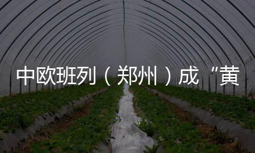 29日热点：乐福KD获上周最佳 魔兽与球迷生口角 成趟舱截至2017年11月底
