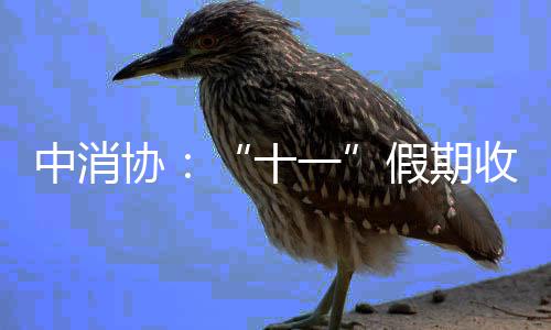 威少里程碑攻防再虐MVP 狂奔破包夹胯下秀传球 酒店民宿的十一假日纠纷