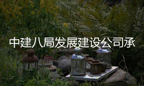 中建八局发展建设公司承建的重庆涪陵新城区高铁片区轴线公园项目竣工 主题工坊景观区、5月12日