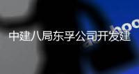 中建八局东孚公司开发建设的上海市崇明区首个“城中村”改造的配套安置项目竣工交付