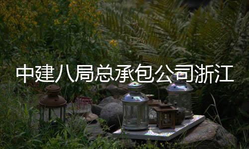 中建八局总承包公司浙江嘉兴火车站南广场正式运营 火车含南北广场两个地块