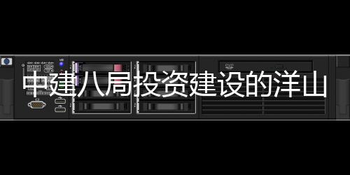 中建八局投资建设的洋山国际保税中心（暂名）项目正式开工 彰显功能开发、功能完善、