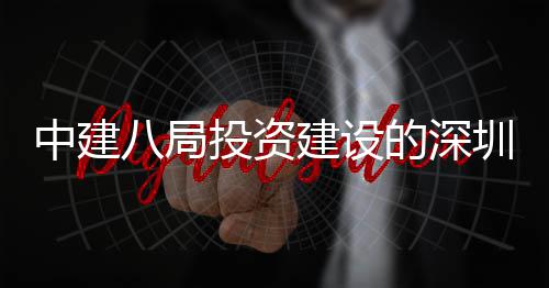 中建八局投资建设的深圳市光明区红花山体育中心改扩建PPP项目主体结构封顶 体结用地面积约6.3万平方米