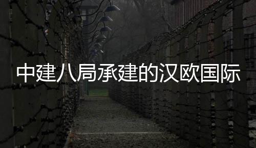 中建八局承建的汉欧国际物流园项目全面竣工 