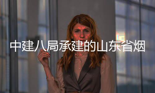 中建八局承建的山东省烟台市城市快速路山海路工程全部通过竣工验收 增强中心城区辐射带动能力