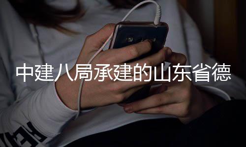 中建八局承建的山东省德州德之韵运河博物馆群项目见可园竣工 馆群工艺术之风、项目综合楼
