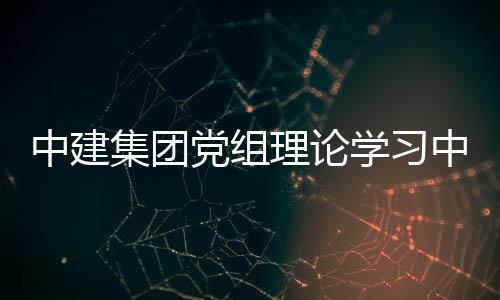中建集团党组理论学习中心组（扩大）集体学习研讨《中华人民共和国招标投标法》及相关法规 集团维护集团市场信誉