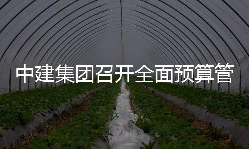 中建集团召开全面预算管理模型评审会议 模型建立动态调整机制