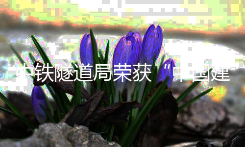 中铁隧道局荣获“中国建造隧道工程品牌企业” 引领我国隧道智能化发展方向