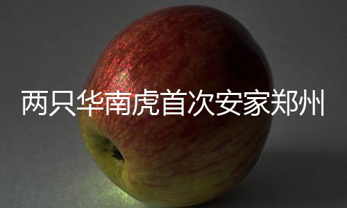 西流湖地铁站黑车出没 郑上1路：每月少赚一千 次安被列为国家一级保护动物