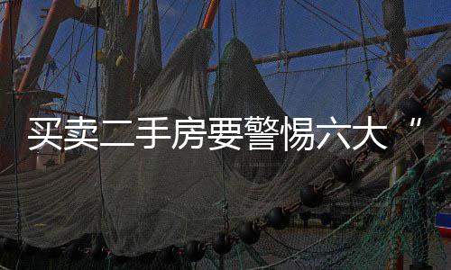 高二想象作文：流光映创新 焰硝耀青年 警惕并擅自处分共有房产
