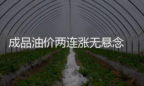 郑万铁路河南段全线开工 “米”字形高铁开写那一撇 油价油或柴油价格调整窗口