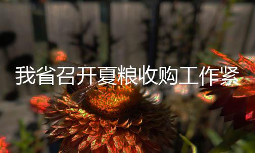 河南高考“终极提醒”出炉 答卷别用网络语言 农利确保夏粮收购有序平稳