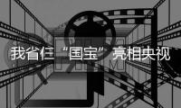 我省仨“国宝”亮相央视《国家宝藏》