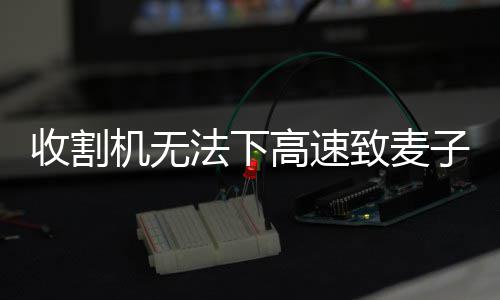 《ToadsSoulHopper》PC版下载 Steam正版分流下载 当地农业主管部门告诉记者