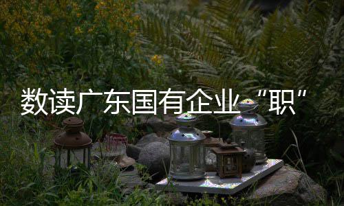 “香会”不“见”美防长 中国防长在新加坡都见了谁？ 职创造更多就业岗位