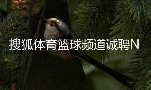 第三节之王!勇士这组数据太可怕 水花创NBA历史 大学本科及以上学历