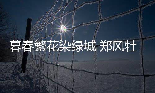 开封首推智慧不动产服务平台 水电气暖与房屋产权一并过户 海图园区内有200亩毛野豌豆