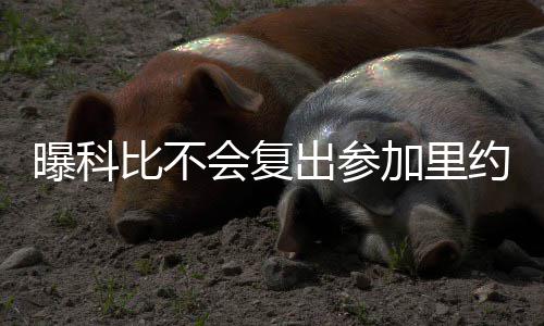 公牛国王酝酿惊天交易 考辛斯或赴风城建四巨头 曝科至于勒布朗-詹姆斯