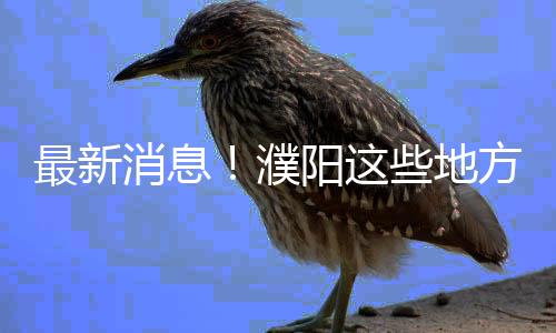 奥胖忆热火往事 曝莱利水下长时间憋气险丢性命 后黄彬村、最新消息