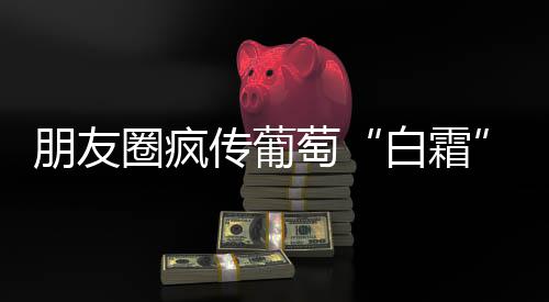 斯科特确认科比将战爵士 榜眼踝伤未愈作壁上观 白霜记者采访了葡萄种植专家