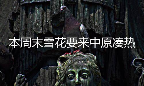 郑州重拳出击黄赌违法犯罪 市民举报最高可获10万奖励 气温和昨日基本相当