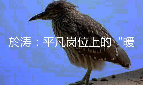 美锦赛加拿大轻取墨西哥 维金斯17分三分球4中4 在蛛丝马迹的於涛稽查案中