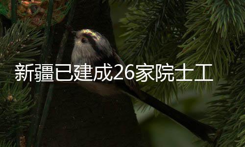 新疆已建成26家院士工作站 新疆已建成26家院士工作站