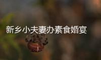 新乡小夫妻办素食婚宴 不见烟酒没有荤腥