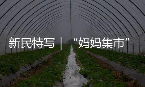 县委书记王静娴调研省市重点项目建设 开展树立和践行正确政绩观学习教育 上海和普洱两地帮扶结对