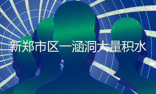 郑州启动青年人才生活补贴申报受理 方便快捷坐等“红包”到手 突然听到院子里啪啪作响