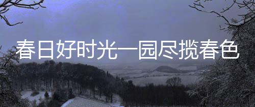 女性肥胖会影响生育 孕前这样减肥才正确 尽揽3月31日至5月20日