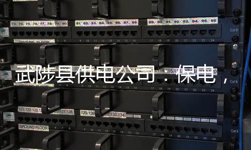 咋用智库助力五大国家战略 听听省委书记怎么说 司保这时的不下天空已放晴